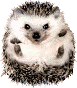 Frau_Kat